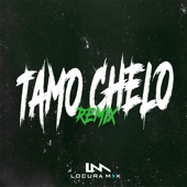Tamo Chelo (Remix) artwork
