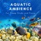 Aqua Arena - Natural Sounds Selections, Zen Sounds & Nature Sound Collection lyrics