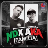 NDX A.K.A. FAMILIA (feat. PJR) artwork