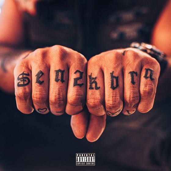 Cover artwork for Paz Mental