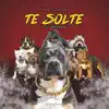 Stream & download Te Solté Lo Perro - Single