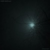 Intransigent - Single