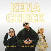 Kena Check artwork