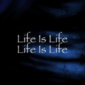 Life Is Life artwork