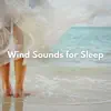 Wind Sounds for Sleep album lyrics, reviews, download