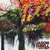 Jason Isbell and the 400 Unit album lyrics, reviews, download