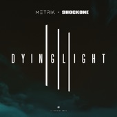 Dying Light (Flite Remix) artwork