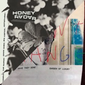 Honey Radar / Violent Change Split - EP