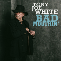 Tony Joe White - Bad Mouthin' artwork