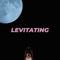 Levitating (Instrumental) artwork