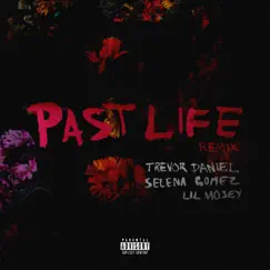 Past Life (Remix) Song Lyrics
