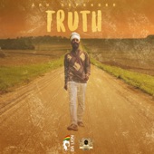 The Truth artwork