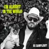 I'm Alright In the World - Single album lyrics, reviews, download