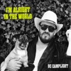 BC Camplight - I'm Alright In the World