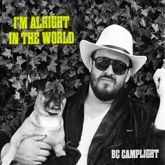 I'm Alright In the World - Single