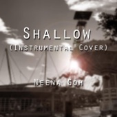 Shallow (Instrumental) artwork