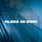 Hledá se Dori artwork