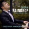 Chopin: "Raindrop" Prelude in D-Flat Major, Op. 28, No. 15 artwork