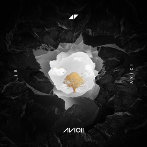 Avicii - Without You (feat. Sandro Cavazza) - Line Dance Choreographer