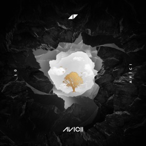 Avicii - Without You (feat. Sandro Cavazza) - Line Dance Chorégraphe