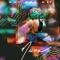Who Are We? - Niina lyrics