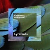 Ensemble Offspring - Beautiful Birds: I. Lyrebirds