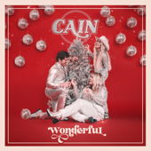 Wonderful (feat. Steven Curtis Chapman) - CAIN Cover Art