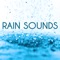 Beach Rain - Nature Sounds lyrics