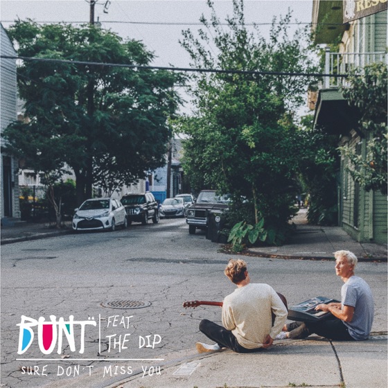 Cover artwork for Sure Don't Miss You (feat. The Dip)