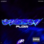 SHEESSH FLOW artwork