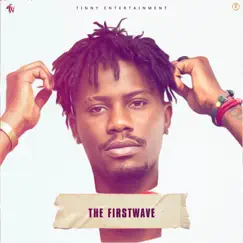 The First Wave by Various Artists album reviews, ratings, credits