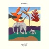 Bioma - Single