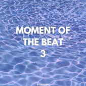Moment of the Beat 3 artwork