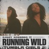 Running Wild (Tumblr Girls 2) (feat. Kossisko) by G-Eazy iTunes Track 1