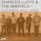Defiant - Charles Lloyd & The Marvels lyrics