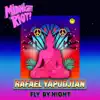 Stream & download Fly by Night - Single