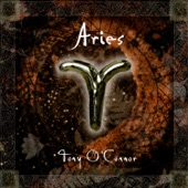 Aries 4 artwork