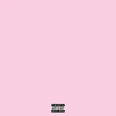 The Program - Cam'ron