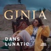 Dans Lunatic - Single