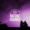 Natura Sound Therapy - Nature Sounds Of Rain For Sleep lyrics