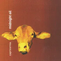 Capricornia - Midnight Oil