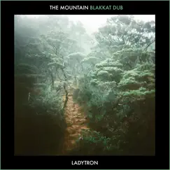 The Mountain - EP by Ladytron album reviews, ratings, credits