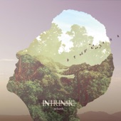 Intrinsic - Rebirth II: Roots