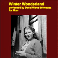Winter Wonderland - Single by David Warin Solomons album reviews, ratings, credits