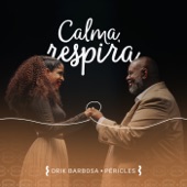 Calma, Respira (feat. Péricles) artwork