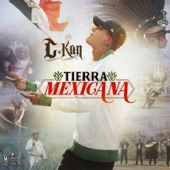 Tierra Mexicana artwork