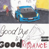 Goodbye & Good Riddance artwork