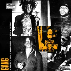 Gang (feat. Chxpo, Lil Wop17, ManMan Savage & FDM Grady) - Single by El Salvaje17 album reviews, ratings, credits