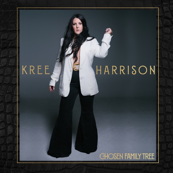 Cover artwork for I Love the Lie