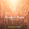 David Astrom - The Comforter